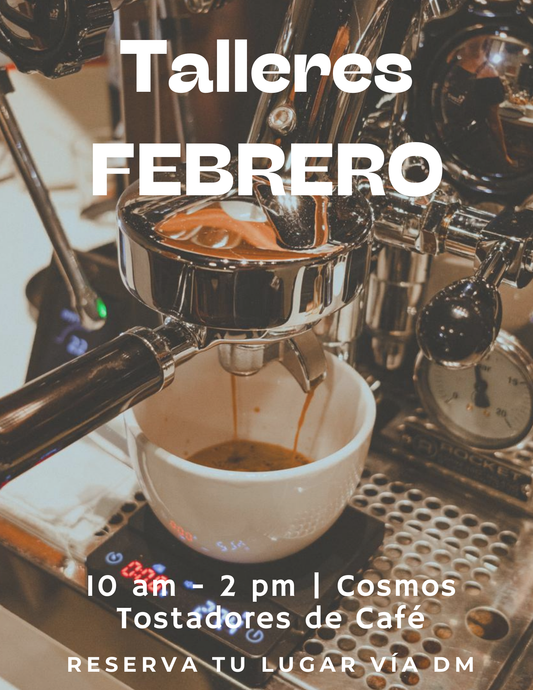 Talleres Febrero
